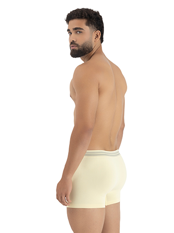 KIT 3 BOXER SEM COSTURA ADULTO 6